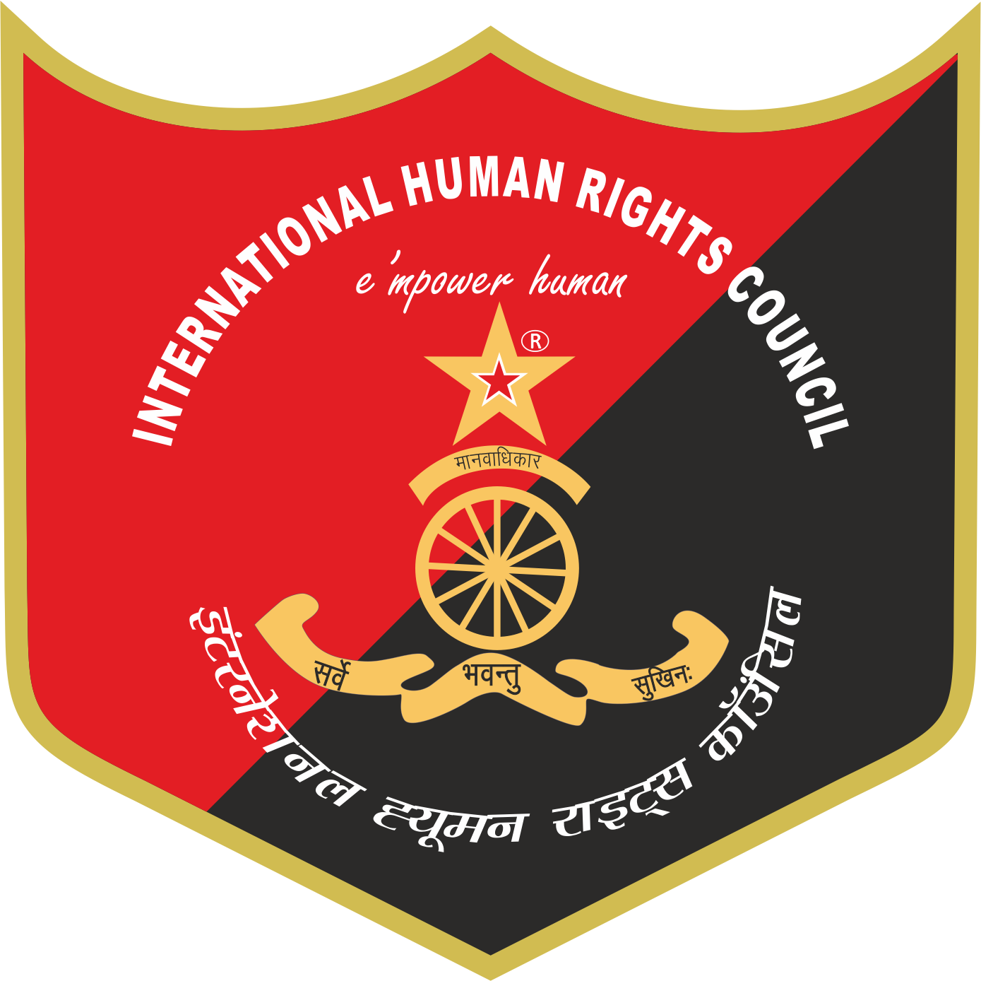 international council on human rights policy jobs